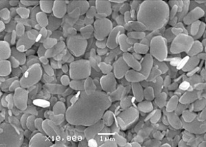 b1dbca6fcb609e208ef1e3f7d29f4d74